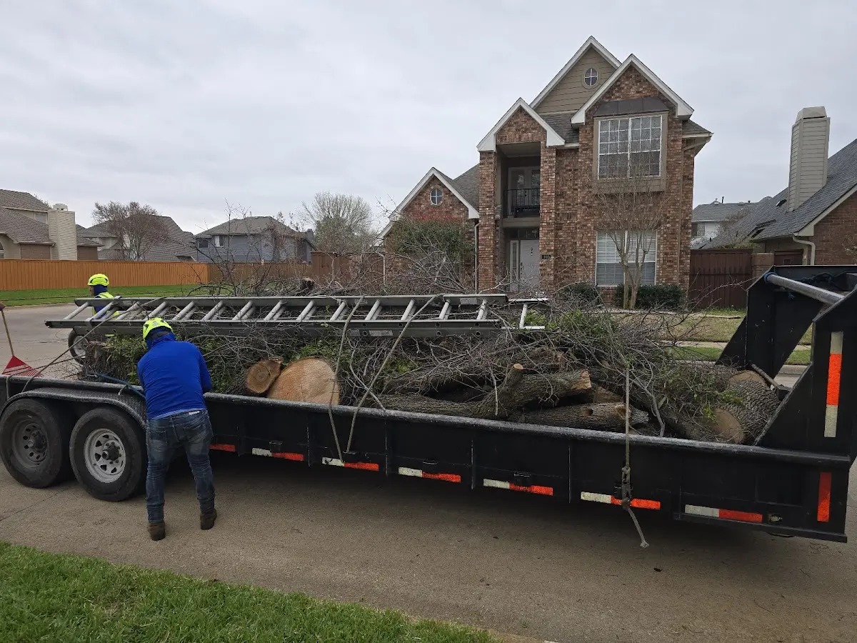 Expert Tree Removal with proper safety equipment in Jonestown